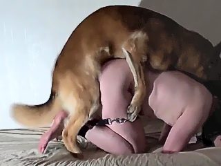 Perro se coje a hombre