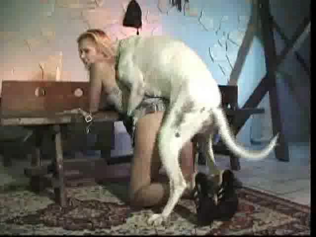 Bestiality Video » white dog fuck blonde girl 