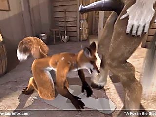 fox in the stable