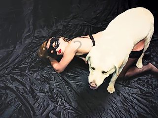 Perro cogiendo a mujer