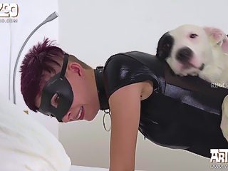 Perro cogiendo a chica