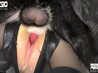 Perro cogiendo a chica