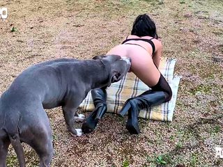 Perro se coje a una chica