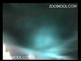 Dog porn compilation